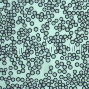 Dri-Cal Particle Size Standards Beads