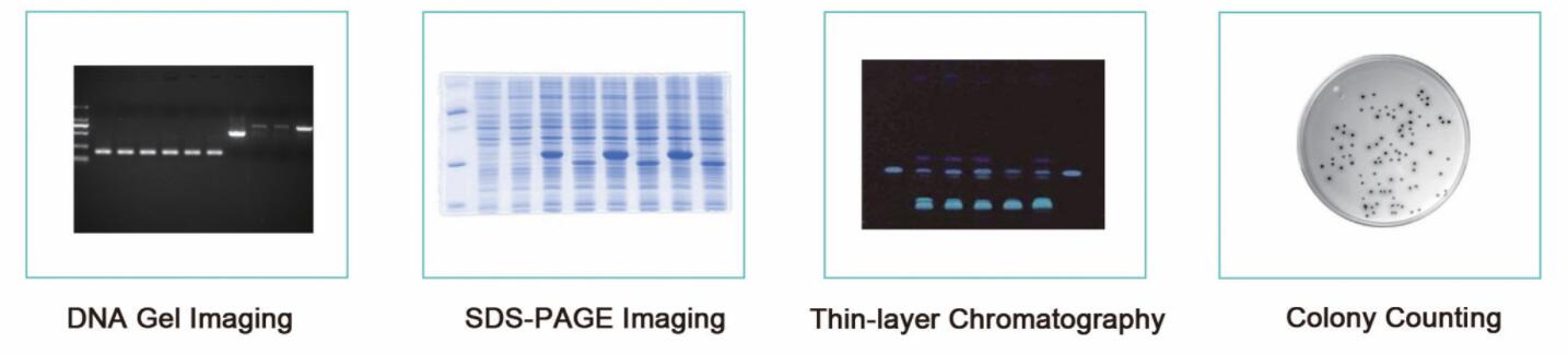 DNA gel imaging machine