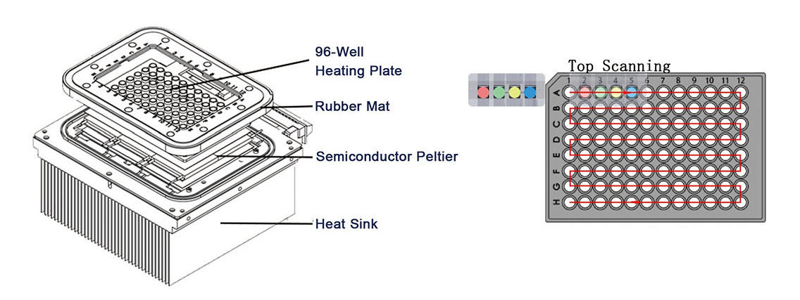 PCR Laboratory Equipment