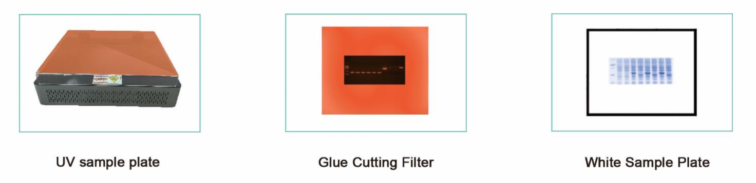 gel documentation and analysis system
