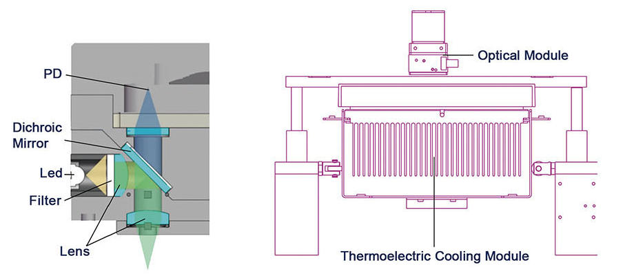 Fluorescent Quantitative PCR Detection System
